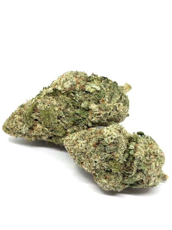 Exotic Kootenay Miracle Alien Cookies (AAAA+)