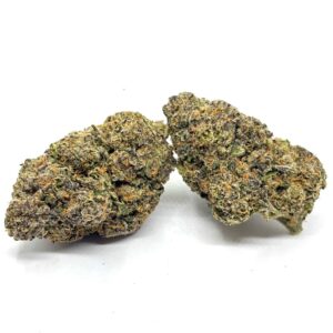 Cadillac Rainbows (AAAA+) KOOTENAY EXOTIC
