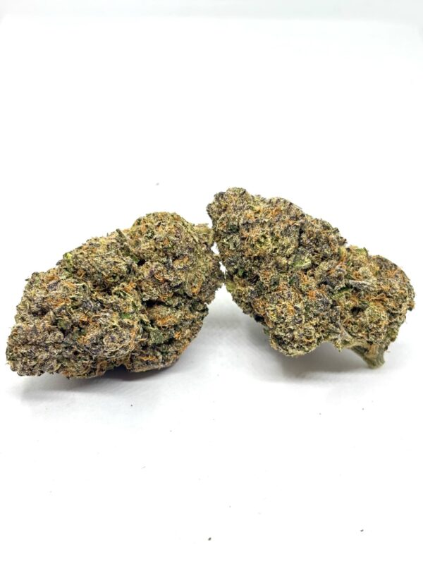 Cadillac Rainbows (AAAA+) KOOTENAY EXOTIC
