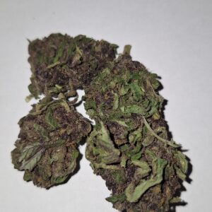 Purple Urkle