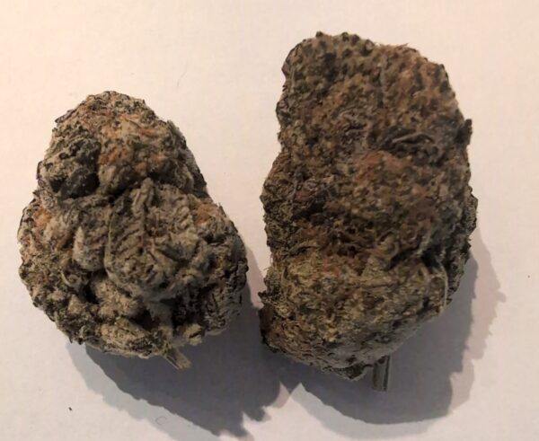 frosted blueberry
