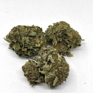 bc-bud