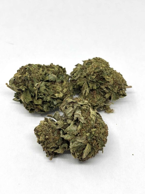 bc-bud