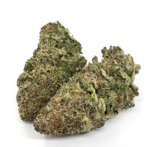 Indica