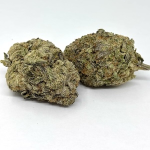 Sativa