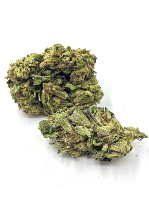mimosa