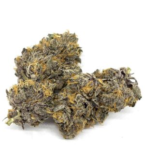 Exotic Kootenay Platinum Lemon Cherry Gelato (AAAA+)