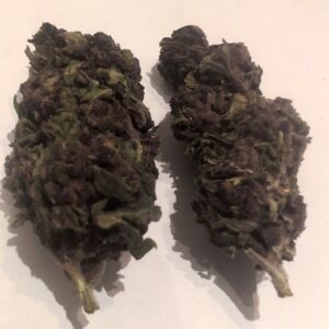 Price Reduced - Purple Urkle