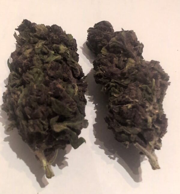 Price Reduced - Purple Urkle