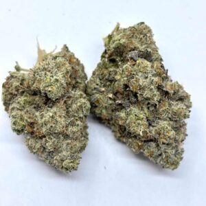 Holland Kush