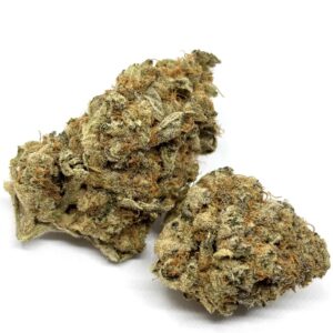acapulca-gold