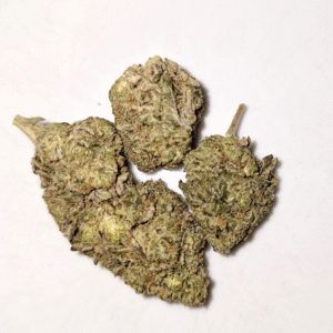 black-truffle