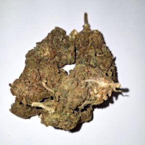 Buy3Get1 Free - Bubba's Gift - Outdoor