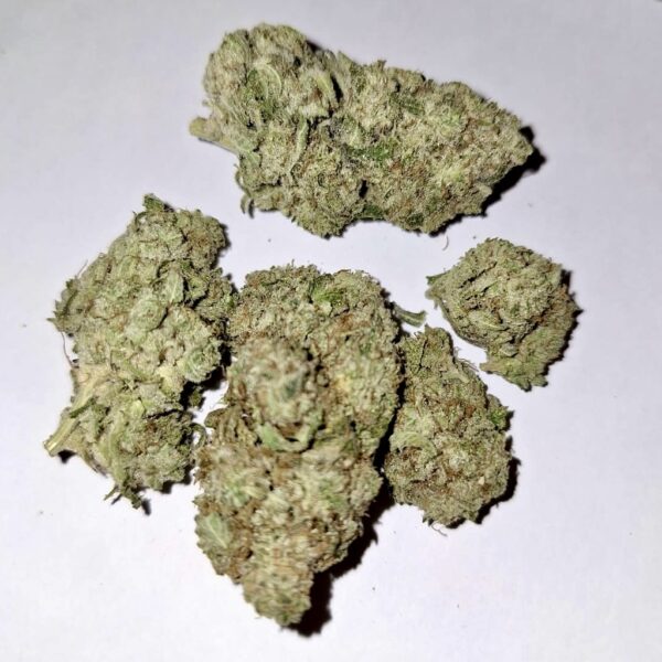 white-widow