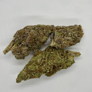 Back In Stock: Black Diamond