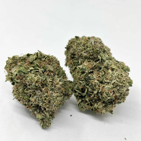 Motor Breath