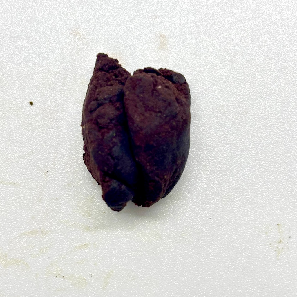 New: Lebanese Red (Domestic) - Image 2