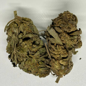 Blue Gelato (Outdoors)