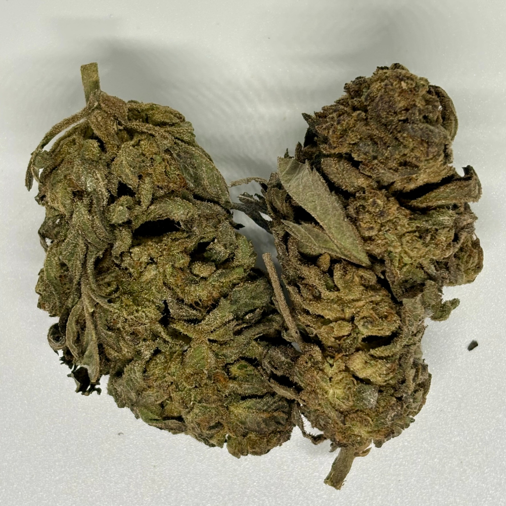 Blue Gelato (Outdoors)