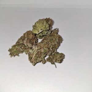 New: Blue Gelato (Outdoors)