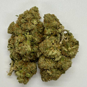Back In Stock:  White Widow