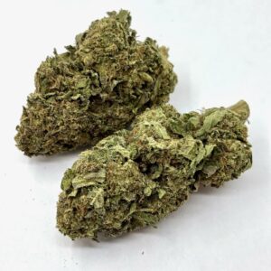 Back In Stock:  Northern Lights