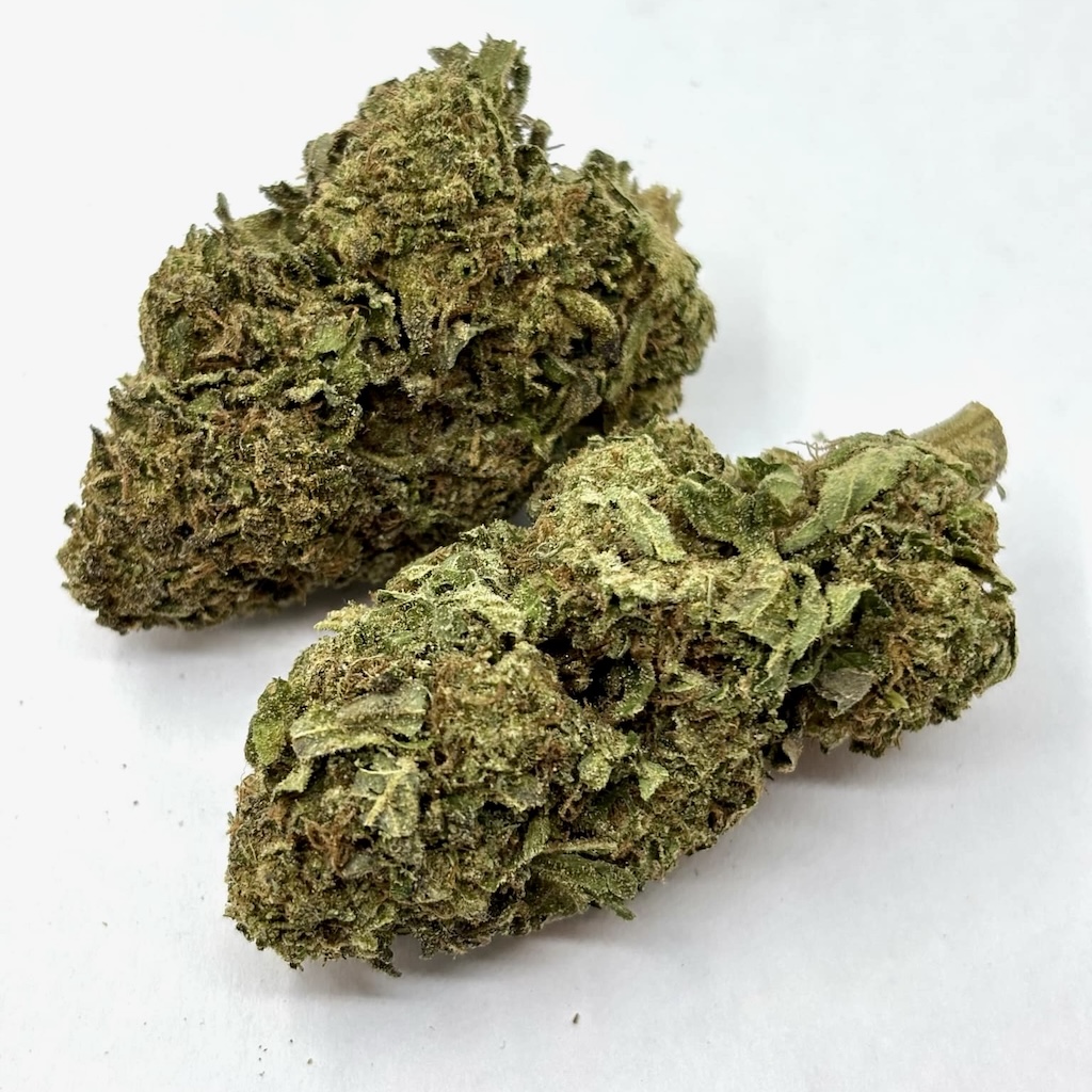 Back In Stock: Northern Lights