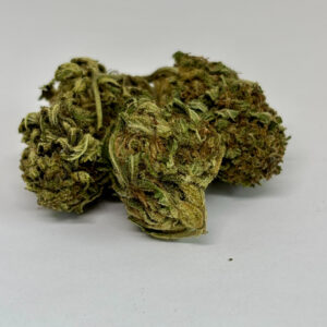 Back In Stock:  Northern Lights