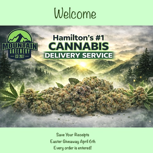 Mountain Greenery - Hamilton's Best Weed Delivery
