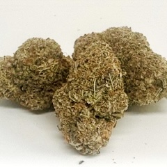 Marked Down: Gorilla Biscotti Haze