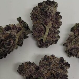 Grand Daddy Purple
