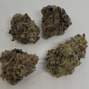 NEW: King Louis XIII