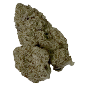NEW - Guava
