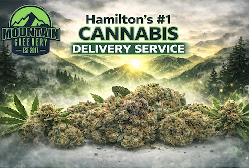 Mountain Greenery - Hamilton's Best Weed Delivery