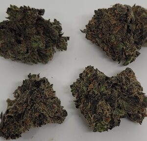 NEW - Platinum Butter Face