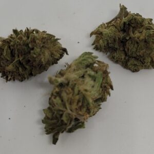 NEW - Sundae Driver