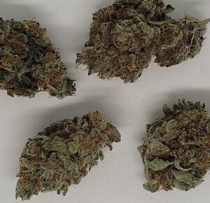 NEW: Ice Pie
