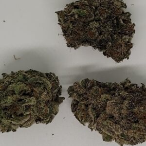 Staff Pick : Pink Bellagio