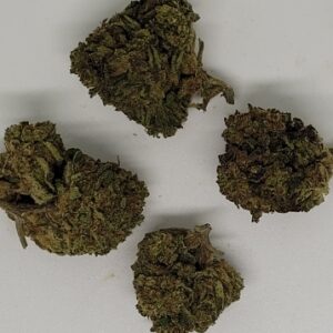 NEW:  Gorilla Glue