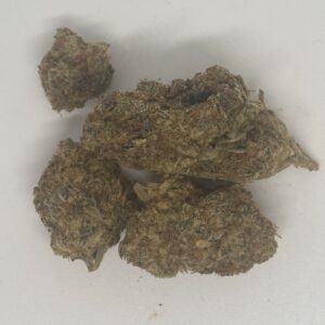 New: Orange Daiquiri