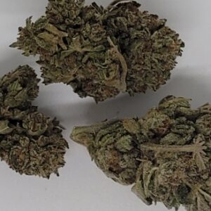 Purple Punch