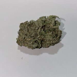 NEW: Blueberry Beast