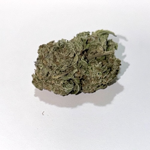 BOGO: Blueberry Beast