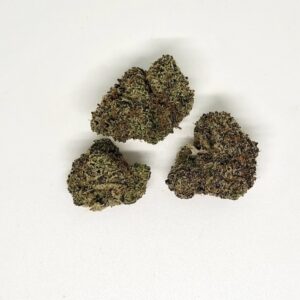 NEW: Black Maple