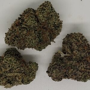 NEW: Black Maple