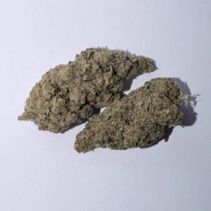 New: ChemDawg