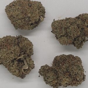 NEW: Dolato