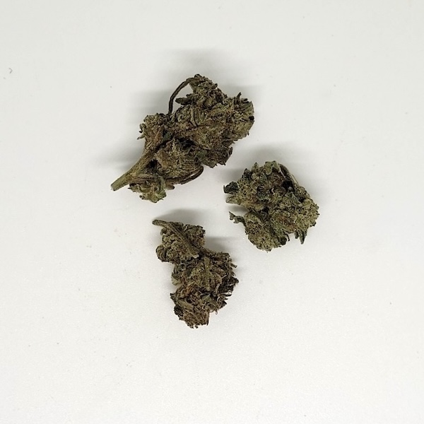 Back In Stock: Oreoz