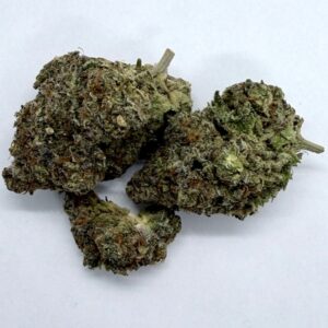Bacio Gelato