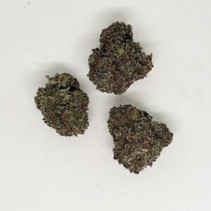 NEW: Bacio Gelato